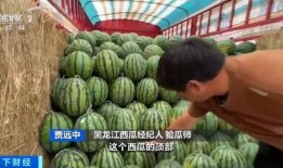 吃瓜申驰,揭秘娱乐圈背后的那些事儿