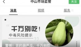 葫芦瓜怎么吃籽,葫芦瓜籽的多样食用方法探索