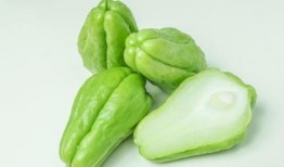 蜗牛吃佛手瓜嘛,一场奇妙的生态互动