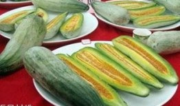 减肥吃酥瓜,轻松开启健康减肥之旅