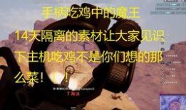 呆瓜动漫吃鸡,欢乐逗趣的生存之旅