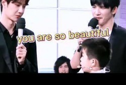 磕糖的吃瓜群众,吃瓜群众的热议与狂欢