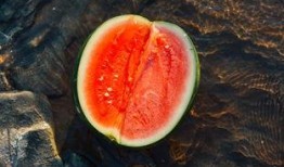 纯阳吃瓜,揭秘网络热点的幕后故事