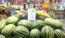 瓜店吃瓜,揭秘娱乐圈的甜蜜与苦涩