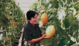 91吃瓜热门大瓜今日大瓜,今日热门大瓜盘点，揭秘娱乐圈最新动态