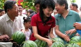 甭管了吃瓜群众,揭秘网络围观背后的社会现象