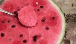 不同人的吃瓜,不同口味，各领风骚的吃瓜众生相