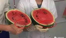 社会实验吃瓜群众,社会实验中的围观力量