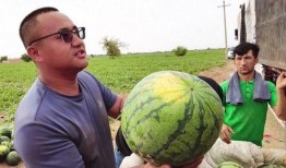 无人区吃瓜,一场别开生面的吃瓜之旅