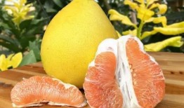 吃柚子能吃瓜吗,同食相宜还是禁忌？