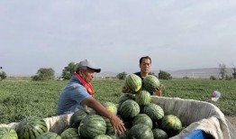 带你吃瓜山东菏泽曹县,带你领略独特的“吃瓜”文化