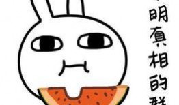 吃瓜与底线兼得,如何在娱乐与原则中找到平衡