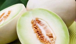 白兰瓜如何吃,解锁美味新体验