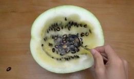 买的瓜都是籽瓜吗怎么吃,解锁夏日美味新选择