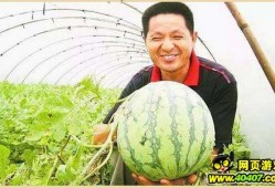 单县吃瓜墙,揭秘当地独特民俗风情