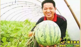 单县吃瓜墙,揭秘当地独特民俗风情