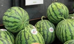 不同人的吃瓜,不同口味，各领风骚的吃瓜众生相