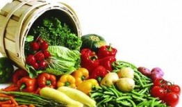 追娱吃瓜项目,追娱吃瓜项目深度解析