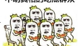 故事吃瓜军,揭秘网络舆论场的“瓜田”奇观