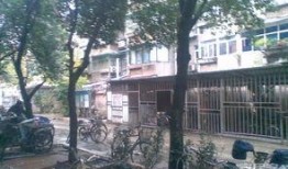 南京商校吃瓜,一场校园吃瓜大揭秘