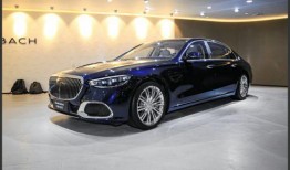 云木吃瓜开封迈巴赫,揭秘网红现象背后的社会文化现象