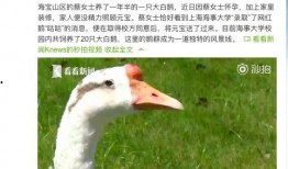 吃瓜鹅专用新浪博客,趣味横生的娱乐圈幕后故事