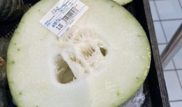 安庆翰林府吃瓜,瓜田里的历史韵味与市井生活