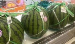 吃瓜横版照片,趣味横生的日常瞬间