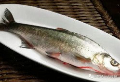 梦见摘瓜捞鱼吃,摘瓜捞鱼，共享丰收喜悦