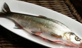 梦见摘瓜捞鱼吃,摘瓜捞鱼，共享丰收喜悦