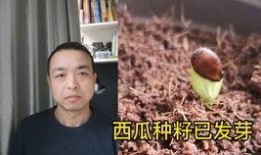 吃瓜听见情侣吵架,情侣争吵背后的情感纠葛