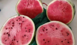 麒麟瓜整瓜能放多久吃,掌握存放技巧，尽享美味时光