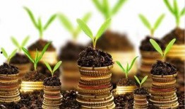 永基基金吃瓜,揭秘背后真相与行业影响