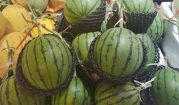 无人区吃瓜,一场别开生面的吃瓜之旅