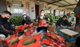 乐高吃瓜群众,揭秘乐高世界中的趣味八卦