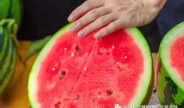 南京艺术大学吃瓜,校园吃瓜事件背后的真相