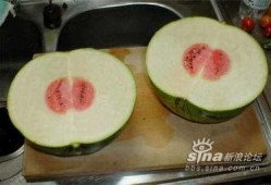 我请客你吃瓜,跟随我一起畅享请客吃瓜的欢乐时光