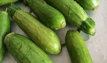 吃瓜角角,一场舌尖上的美食盛宴