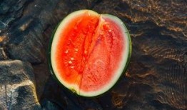 忘川吃瓜,揭秘神秘瓜田背后的神秘传说