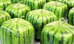 吃瓜随便发,随便事件背后的真相与启示