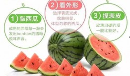 买的瓜都是籽瓜吗怎么吃,解锁夏日美味新选择