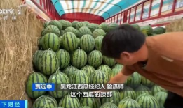 安庆医专拐杖吃瓜