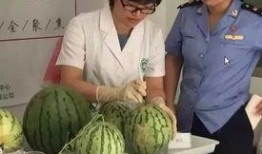 社会实验吃瓜群众,社会实验中的围观力量