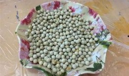 51吃瓜网入口,带你走进娱乐圈的幕后真相