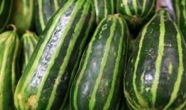 梢瓜 吃,探寻传统与创新的完美融合