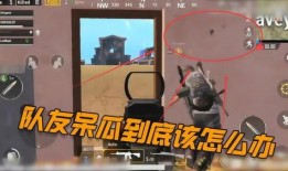 呆瓜动漫吃鸡,欢乐逗趣的生存之旅