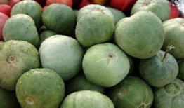 直接吃的瓜,尽享夏日美味时光