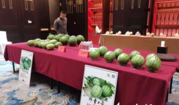 在线开会吃瓜,一场别开生面的“吃瓜”盛宴