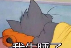 吃瓜姐妹鸟,揭秘鸟类社交圈的秘密生活