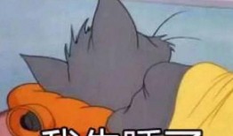 吃瓜姐妹鸟,揭秘鸟类社交圈的秘密生活